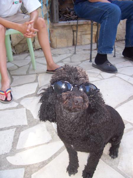 bouboule